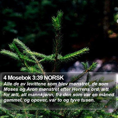 4 Mosebok 3:39 NORSK Bible Verse Image