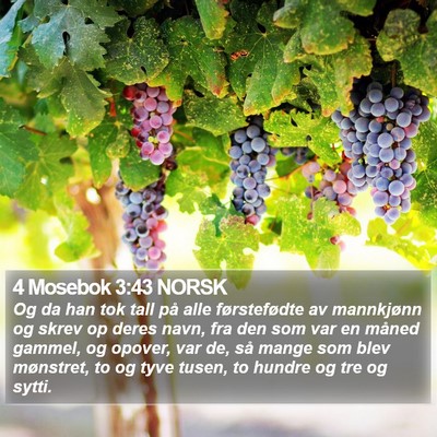 4 Mosebok 3:43 NORSK Bible Verse Image