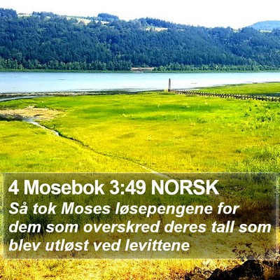 4 Mosebok 3:49 NORSK Bible Verse Image