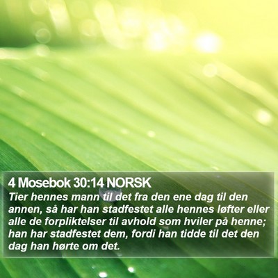 4 Mosebok 30:14 NORSK Bible Verse Image