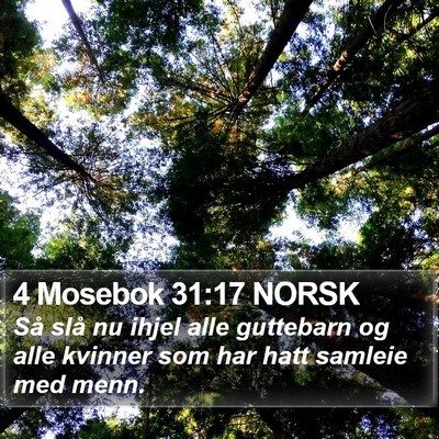 4 Mosebok 31:17 NORSK Bible Verse Image