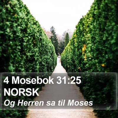 4 Mosebok 31:25 NORSK Bible Verse Image