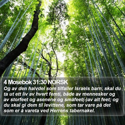 4 Mosebok 31:30 NORSK Bible Verse Image