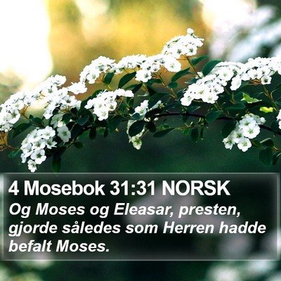 4 Mosebok 31:31 NORSK Bible Verse Image