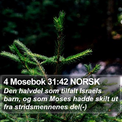 4 Mosebok 31:42 NORSK Bible Verse Image
