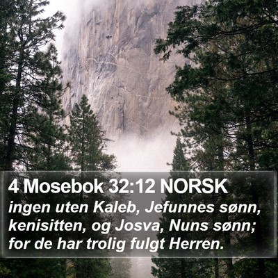 4 Mosebok 32:12 NORSK Bible Verse Image