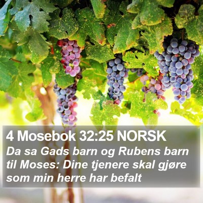 4 Mosebok 32:25 NORSK Bible Verse Image