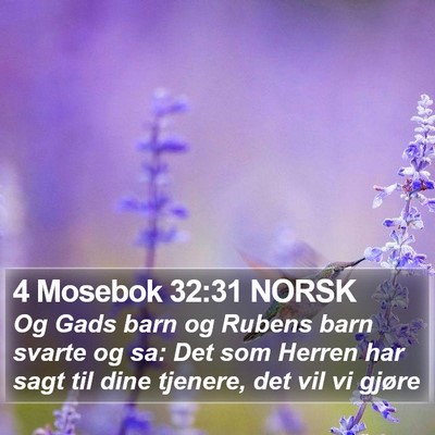 4 Mosebok 32:31 NORSK Bible Verse Image