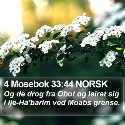 4 Mosebok 33:44 NORSK Bible Verse Image