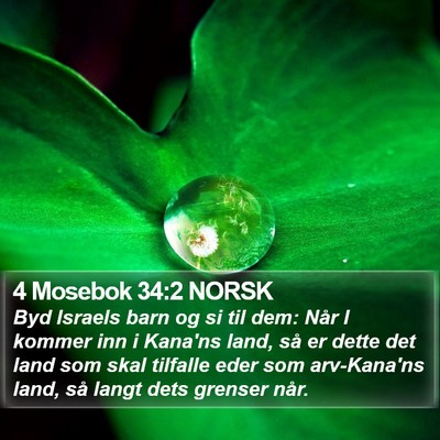 4 Mosebok 34:2 NORSK Bible Verse Image