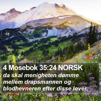 4 Mosebok 35:24 NORSK Bible Verse Image