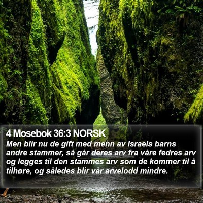 4 Mosebok 36:3 NORSK Bible Verse Image