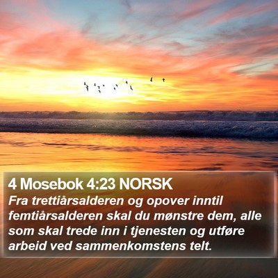4 Mosebok 4:23 NORSK Bible Verse Image