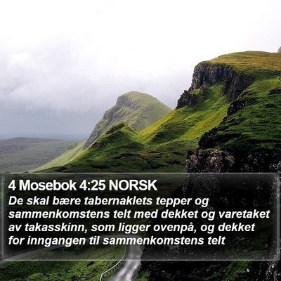 4 Mosebok 4:25 NORSK Bible Verse Image