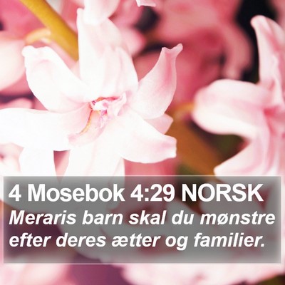 4 Mosebok 4:29 NORSK Bible Verse Image