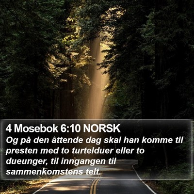 4 Mosebok 6:10 NORSK Bible Verse Image