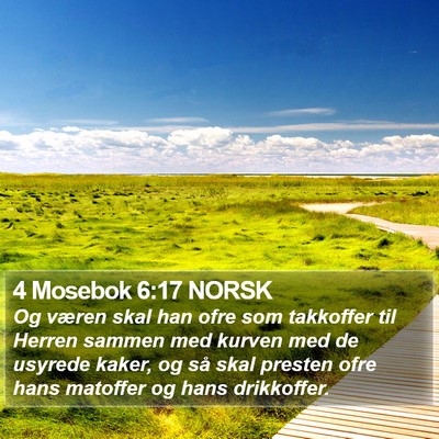 4 Mosebok 6:17 NORSK Bible Verse Image