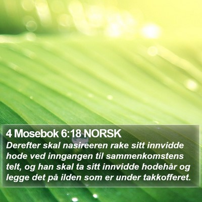4 Mosebok 6:18 NORSK Bible Verse Image