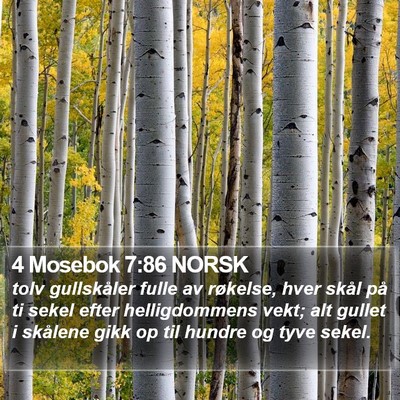 4 Mosebok 7:86 NORSK Bible Verse Image