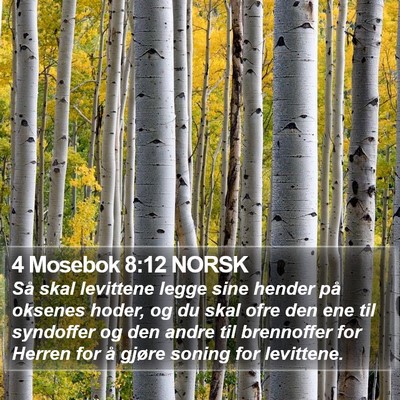 4 Mosebok 8:12 NORSK Bible Verse Image