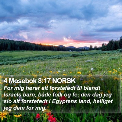 4 Mosebok 8:17 NORSK Bible Verse Image