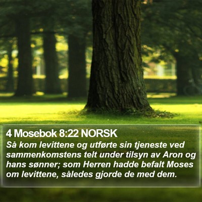 4 Mosebok 8:22 NORSK Bible Verse Image