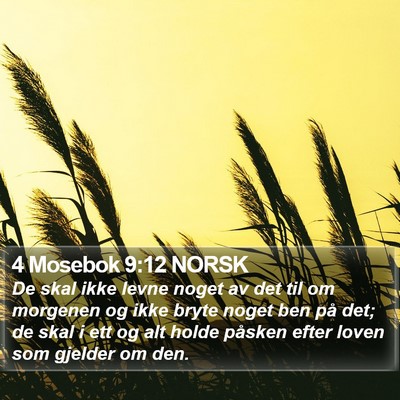 4 Mosebok 9:12 NORSK Bible Verse Image