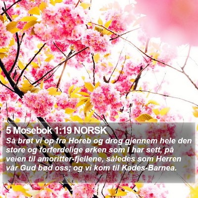 5 Mosebok 1:19 NORSK Bible Verse Image
