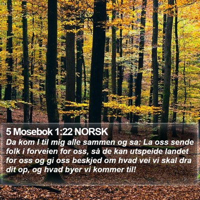 5 Mosebok 1:22 NORSK Bible Verse Image