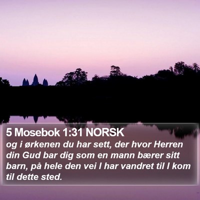 5 Mosebok 1:31 NORSK Bible Verse Image