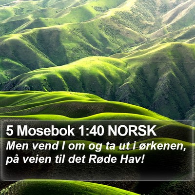 5 Mosebok 1:40 NORSK Bible Verse Image