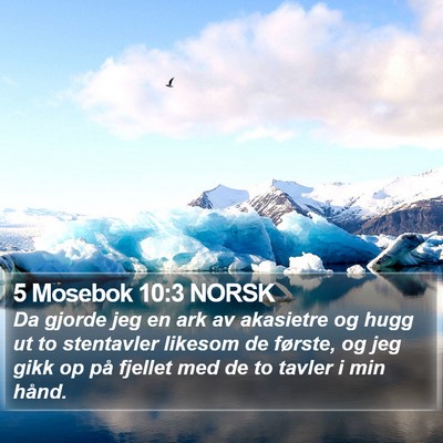 5 Mosebok 10:3 NORSK Bible Verse Image
