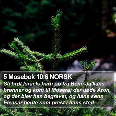 5 Mosebok 10:6 NORSK Bible Verse Image
