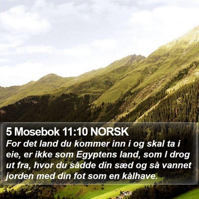 5 Mosebok 11:10 NORSK Bible Verse Image
