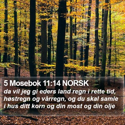 5 Mosebok 11:14 NORSK Bible Verse Image