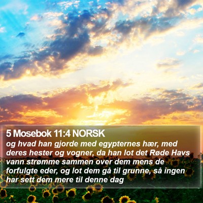 5 Mosebok 11:4 NORSK Bible Verse Image