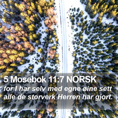 5 Mosebok 11:7 NORSK Bible Verse Image