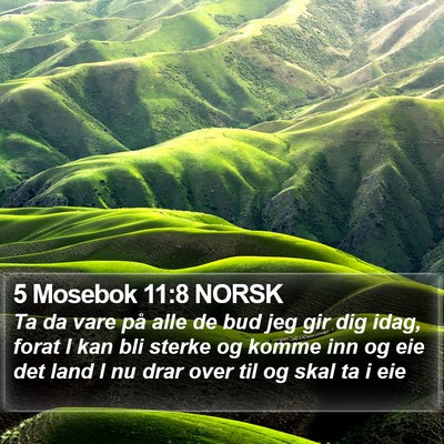 5 Mosebok 11:8 NORSK Bible Verse Image