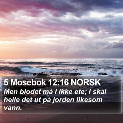 5 Mosebok 12:16 NORSK Bible Verse Image