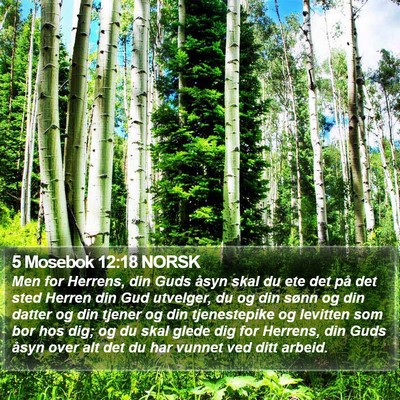 5 Mosebok 12:18 NORSK Bible Verse Image