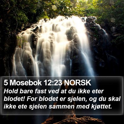 5 Mosebok 12:23 NORSK Bible Verse Image