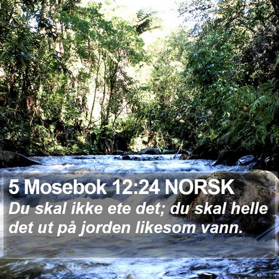 5 Mosebok 12:24 NORSK Bible Verse Image