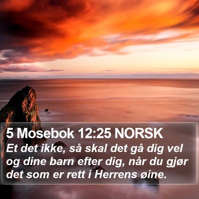 5 Mosebok 12:25 NORSK Bible Verse Image