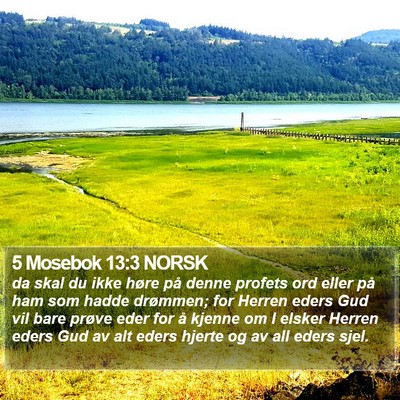 5 Mosebok 13:3 NORSK Bible Verse Image