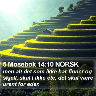 5 Mosebok 14:10 NORSK Bible Verse Image