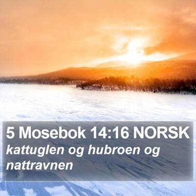 5 Mosebok 14:16 NORSK Bible Verse Image