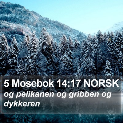 5 Mosebok 14:17 NORSK Bible Verse Image