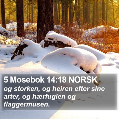 5 Mosebok 14:18 NORSK Bible Verse Image