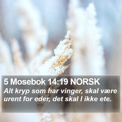 5 Mosebok 14:19 NORSK Bible Verse Image