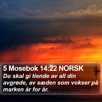 5 Mosebok 14:22 NORSK Bible Verse Image